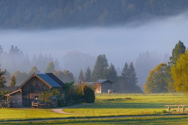 Natur/Umweltschutz, Land- und Forstwirtschaft – Joachim Kuhs