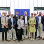 AfD-Delegation im EU-Parlament