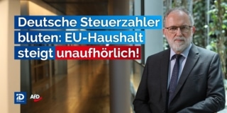 Deutsche Steuerzahler bluten