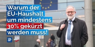 Warum der EU-Haushalt gekürzt werden muss