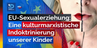 20220426 EU Sexualerziehung TWITTER – Joachim Kuhs, AfD / Alternative für Deutschland