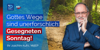 20220617 sonntag gottes wege sind unerforschlich TWITTER Kopie – Joachim Kuhs, AfD / Alternative für Deutschland