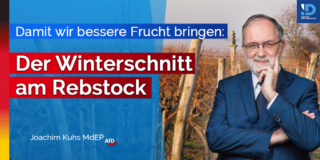 20230202 Sonntag twitter – Joachim Kuhs, AfD / Alternative für Deutschland