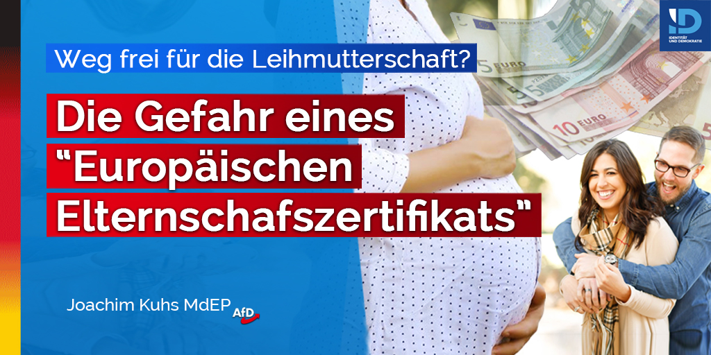 20230209 leihmutterschaft twitter – Joachim Kuhs, AfD / Alternative für Deutschland