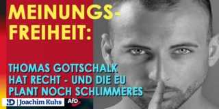 Meinungsfreiheit: Thomas #Gottschalk hat recht - und die EU plant noch Schlimmeres