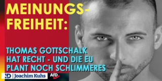 Meinungsfreiheit: Thomas #Gottschalk hat recht - und die EU plant noch Schlimmeres