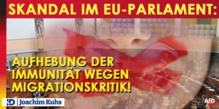 Skandal im EU-Parlament: Aufhebung der Immunität wegen Migrationskritik!