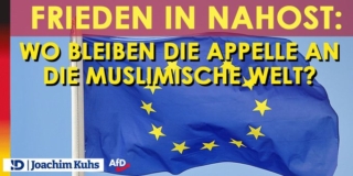 Frieden in Nahost: Wo bleiben die Appelle an die muslimische Welt?