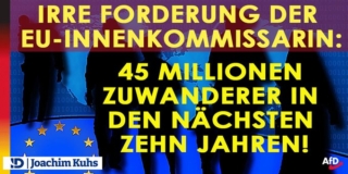Irre Forderung der EU-Innenkommissarin: 45 Millionen Zuwanderer in den nächsten zehn Jahren!