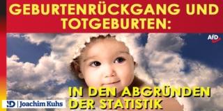 Geburtenrückgang und Totgeburten: In den Abgründen der Statistik