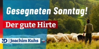 Gesegneten Sonntag: Der gute Hirte